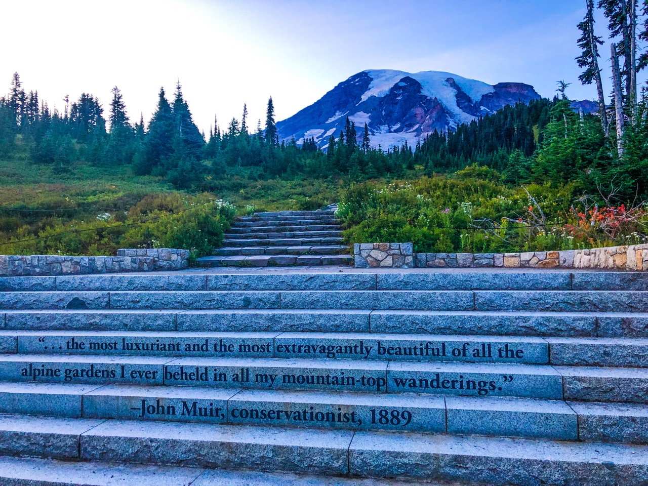 Paradise meadows at Mount Rainier, looking toward the summit
