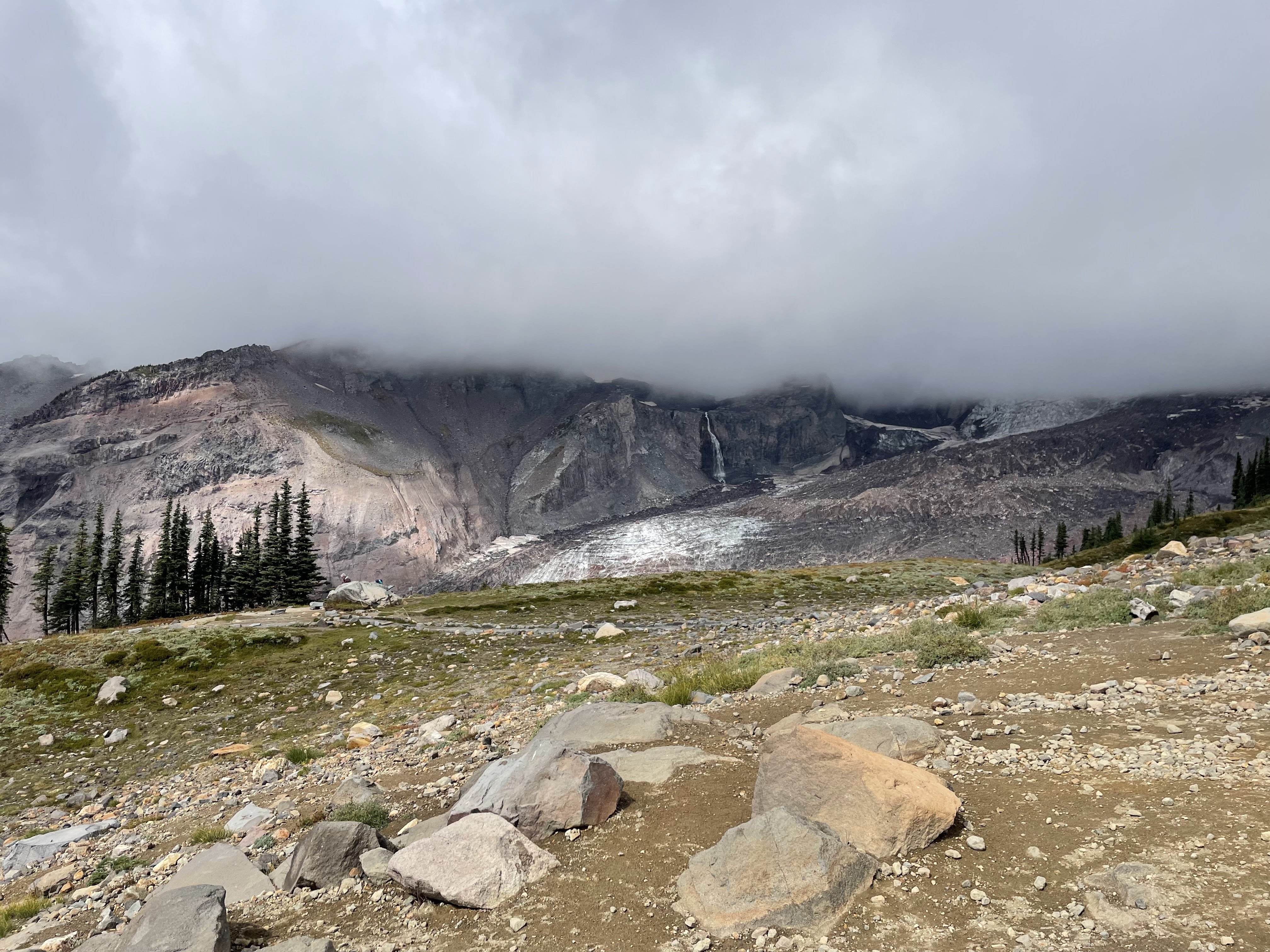 Stressed subalpine environment on the Skyline Loop Trail, Mount Rainier